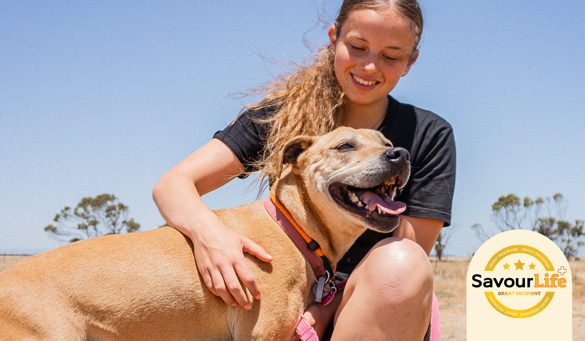 Life saving dog training with Guardian Angel Animal Rescue.