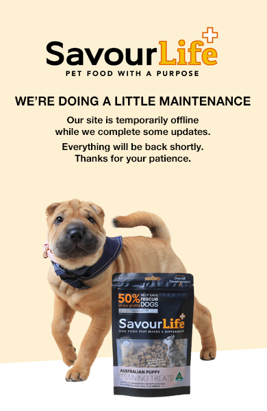Website Under Maintanance!