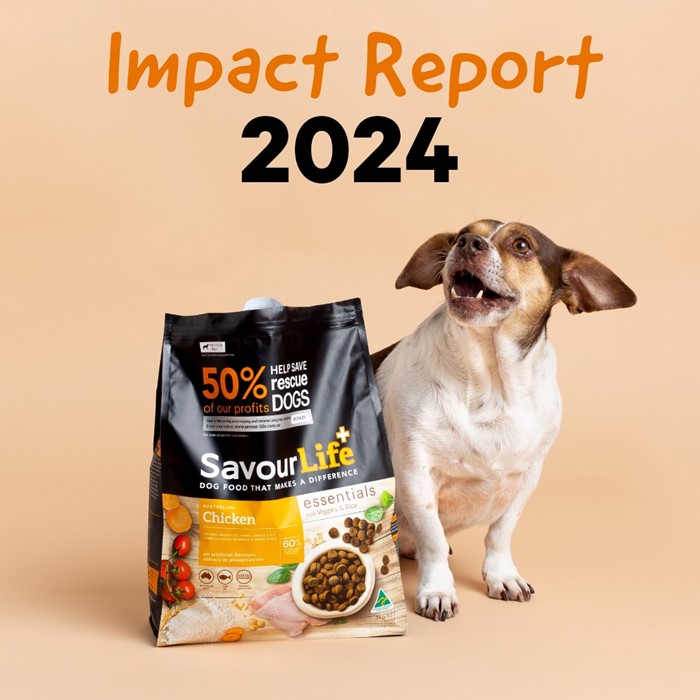 Our 2024 Impact!