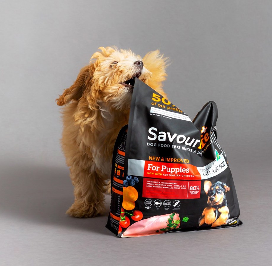 A closer look at Grain Free Puppy Food For Puppies With Oral Health