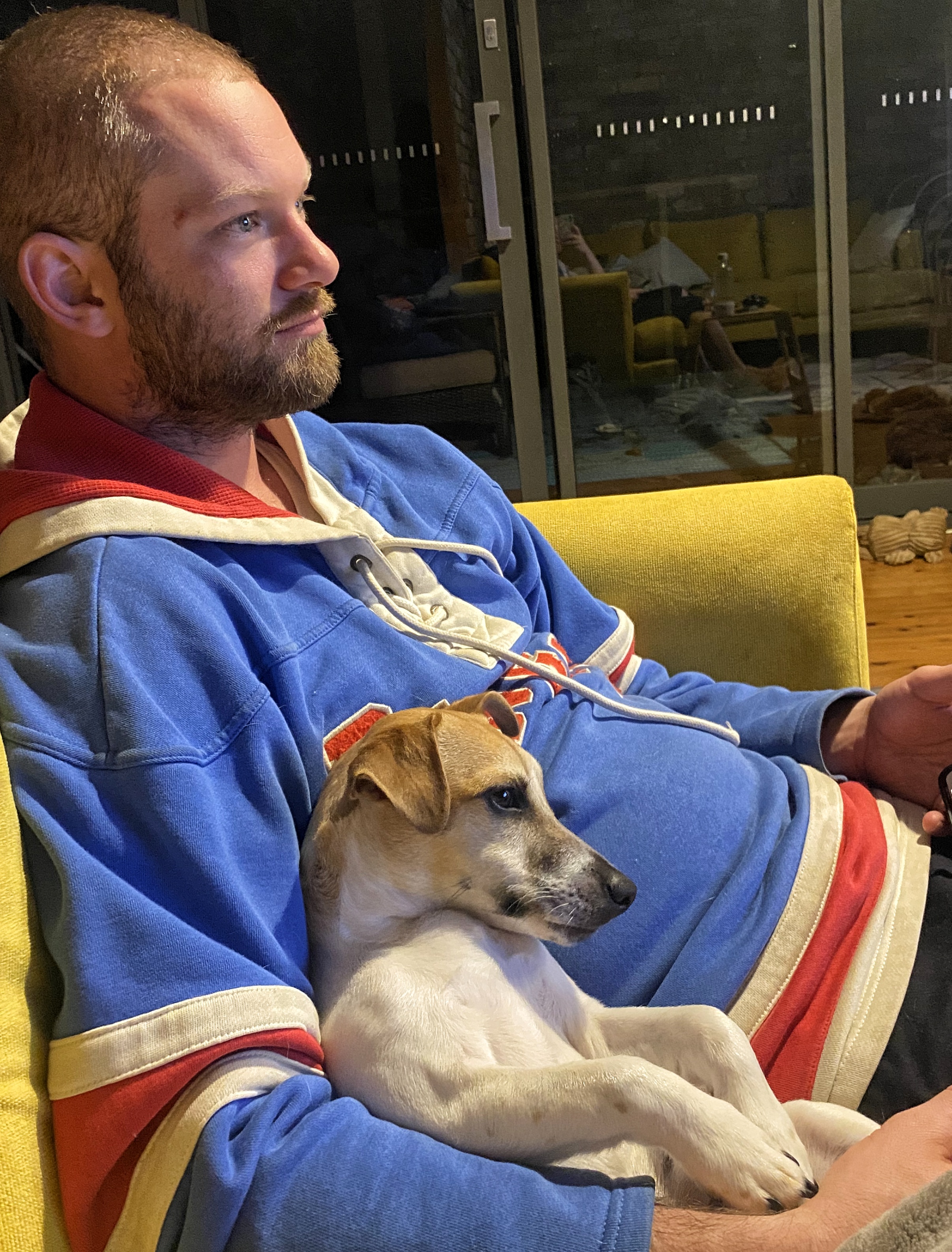 Chip, Kingston, and Monty find their very own happy homes!