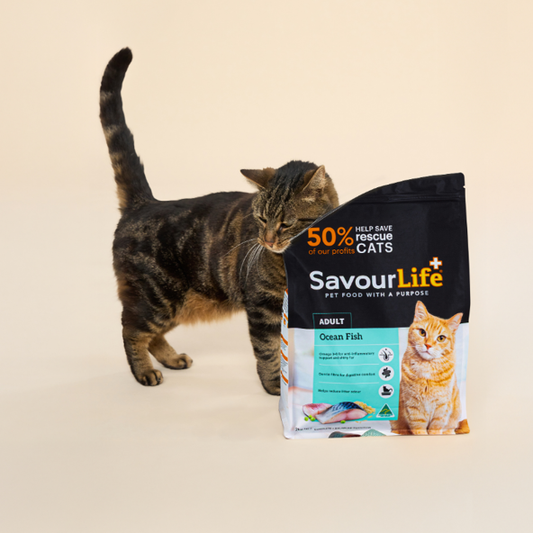 Something better is landing in cat food bowls.