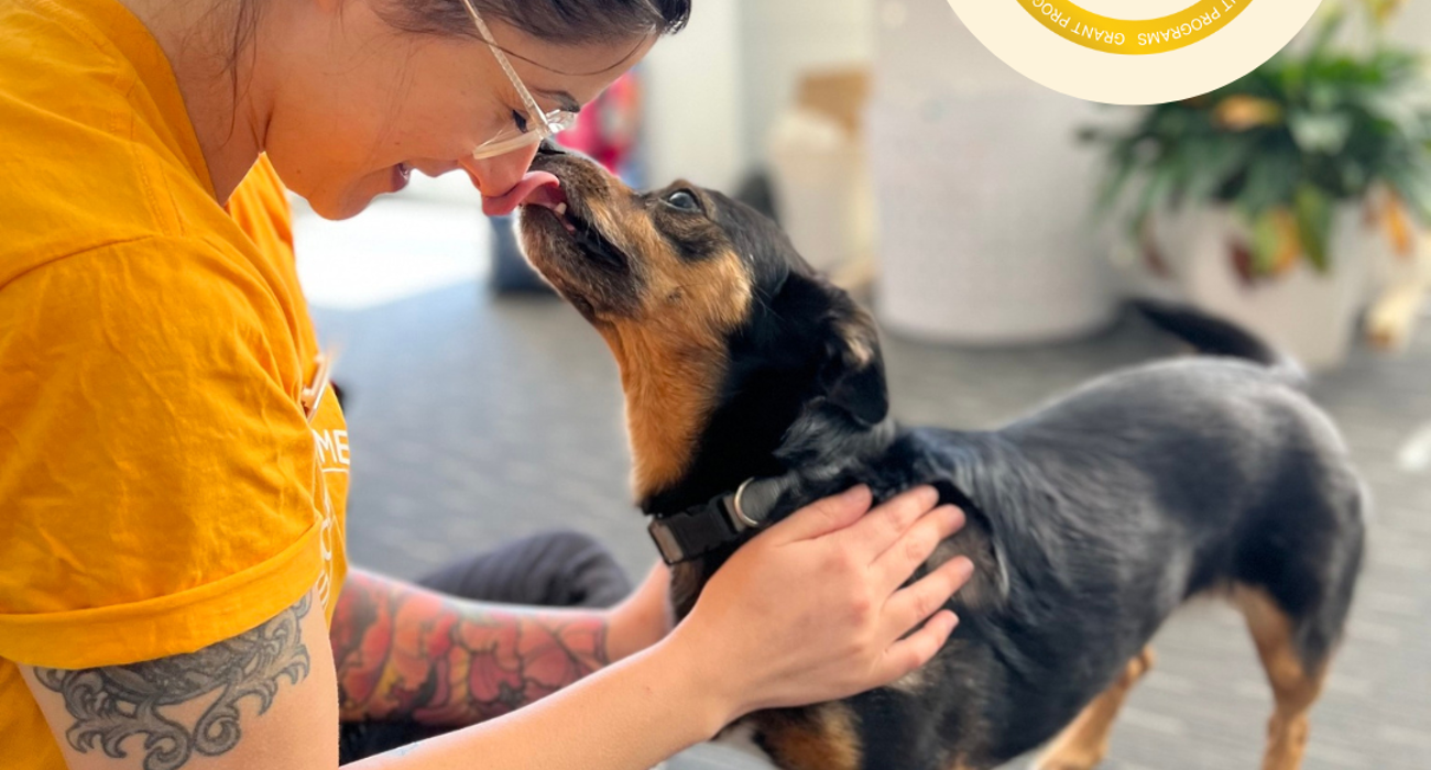 Fixing Friends with Pets of the Homeless
