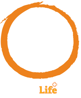 Project Zero