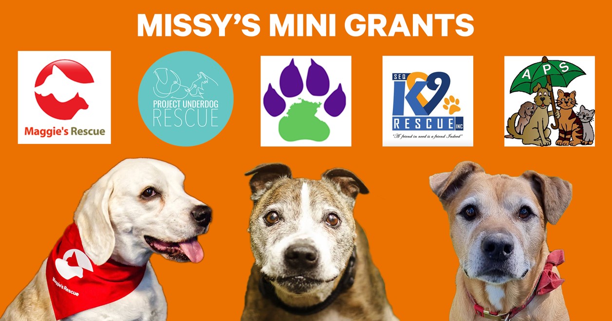 Meet the 5 Rescue Groups who have been awarded with a Mini Grant from Missy!