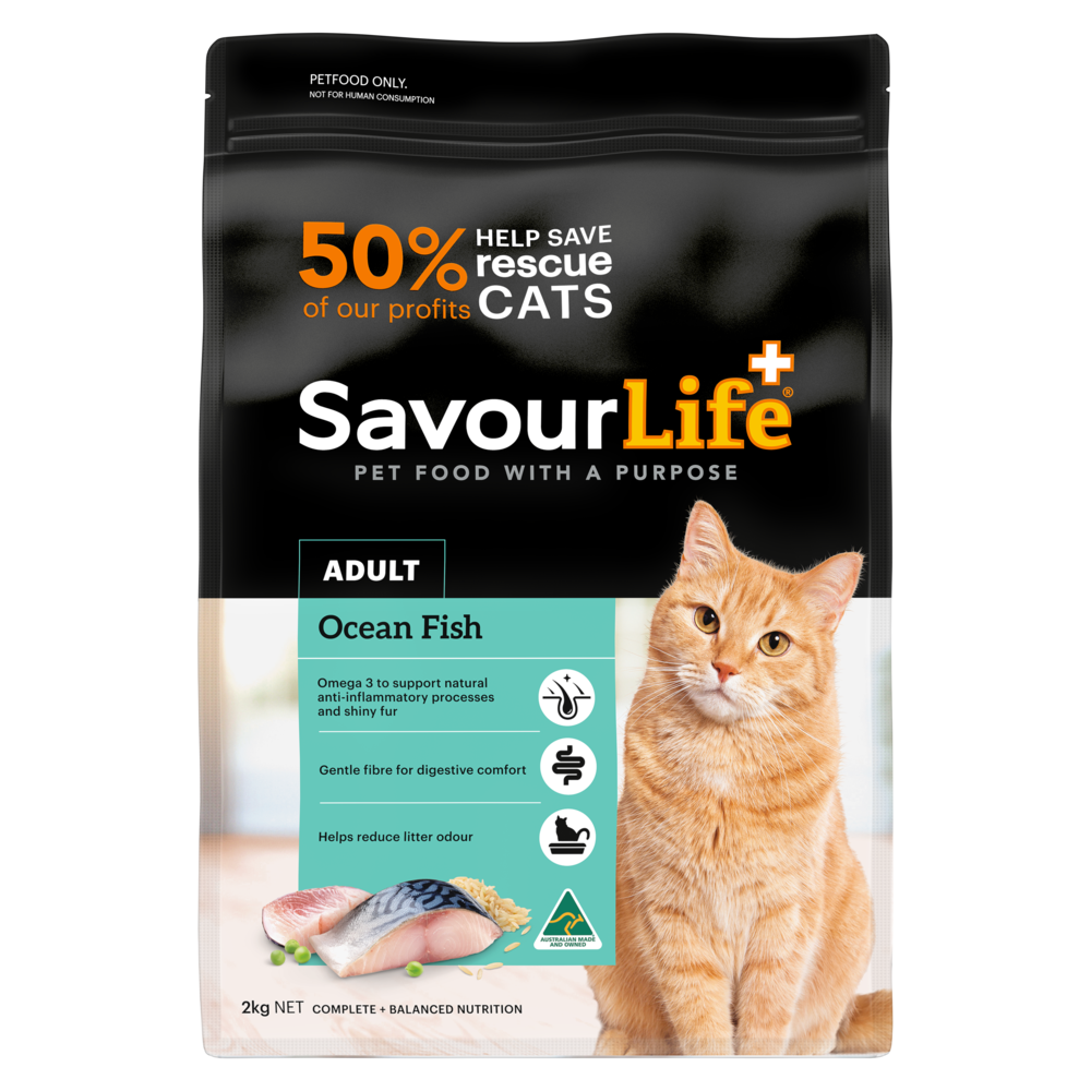 product image of Adult Ocean Fish