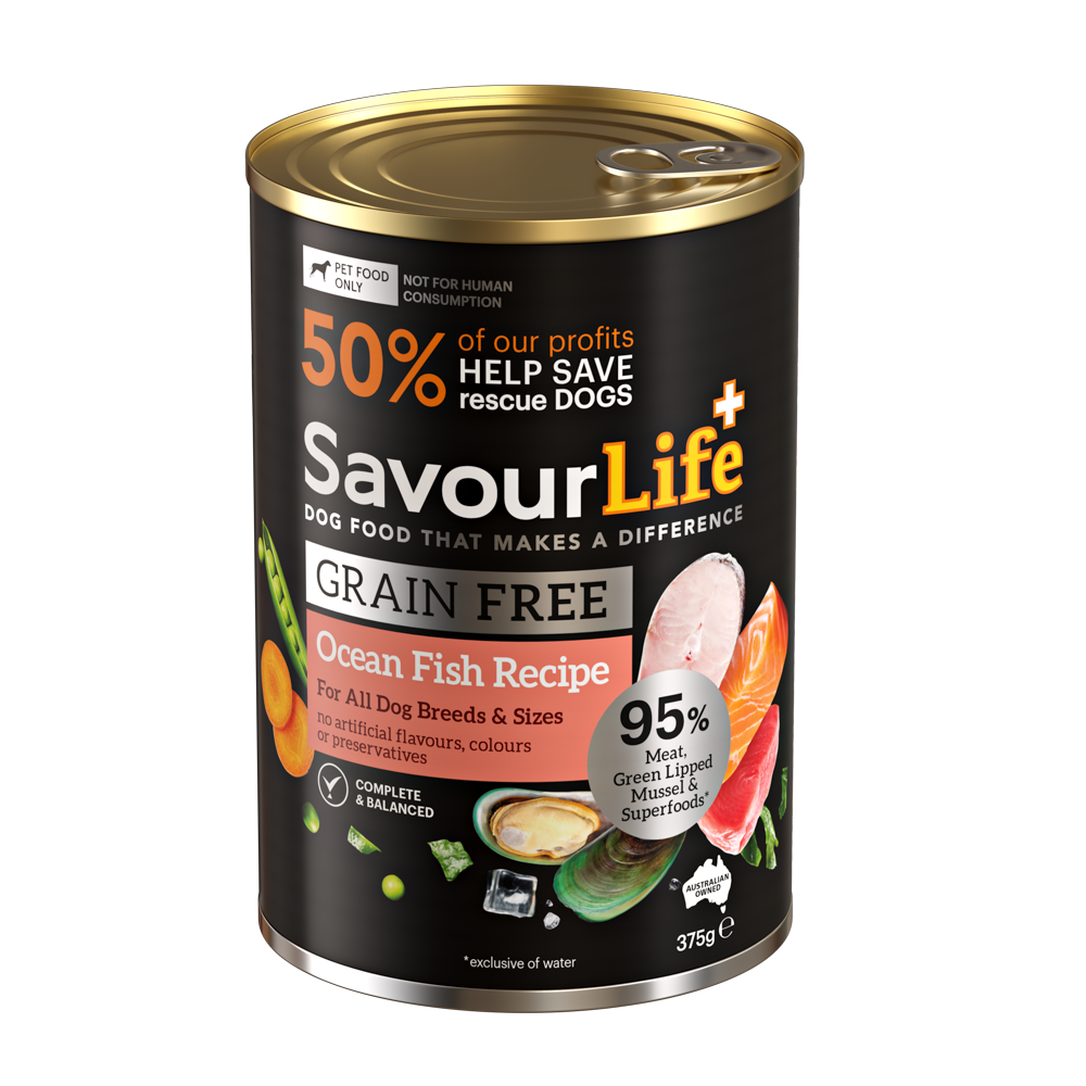 product image of Grain Free Adult Ocean Fish Recipe