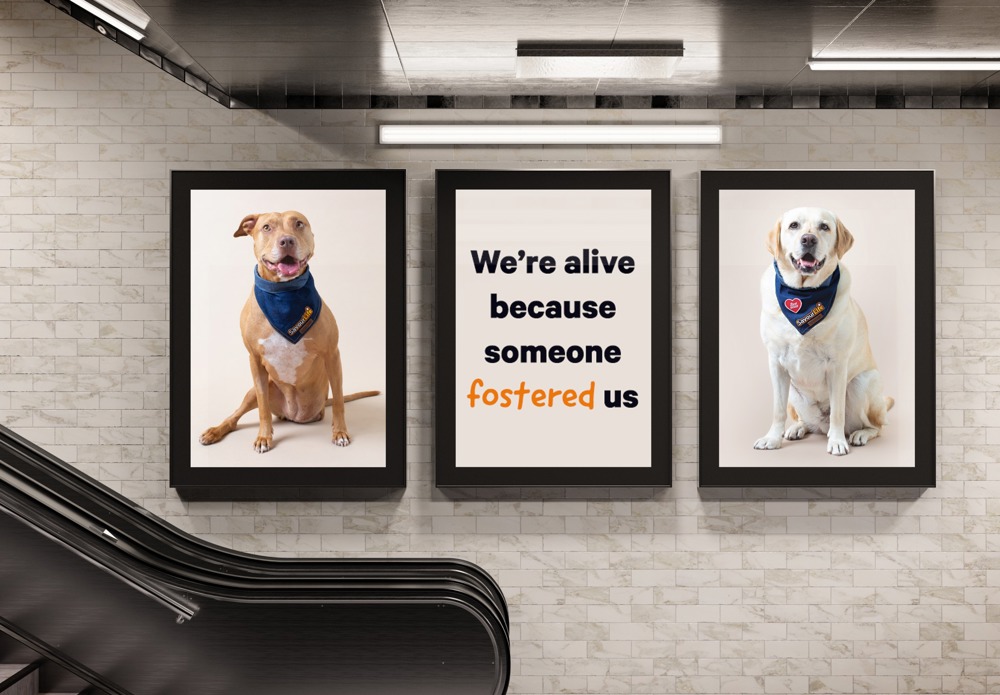 Focus on Foster Care Month