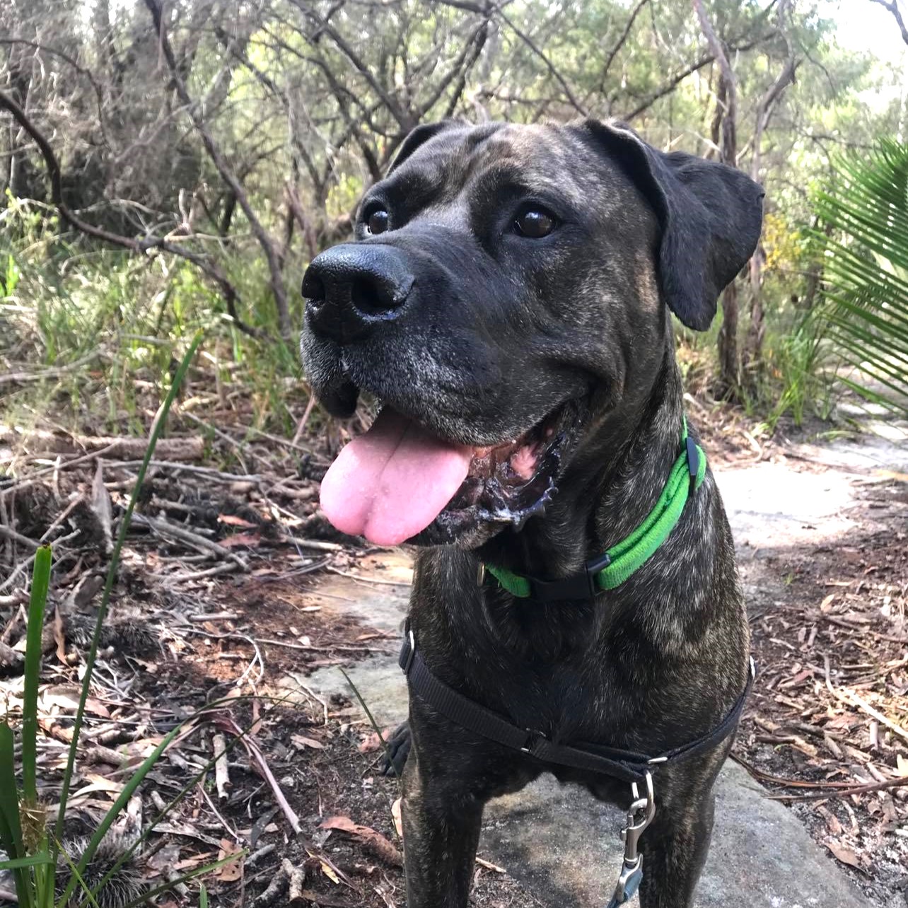 When Foster Becomes Forever...