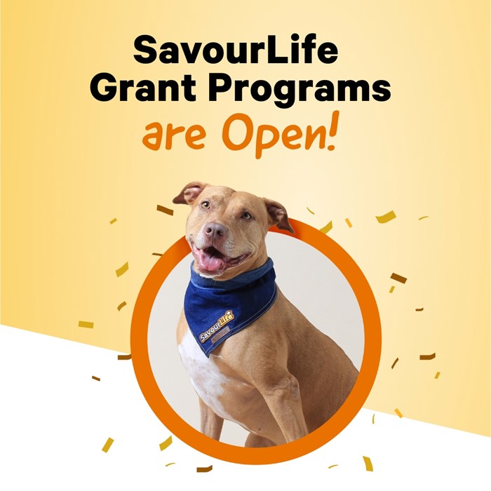 SavourLife Grant Applications are Open!