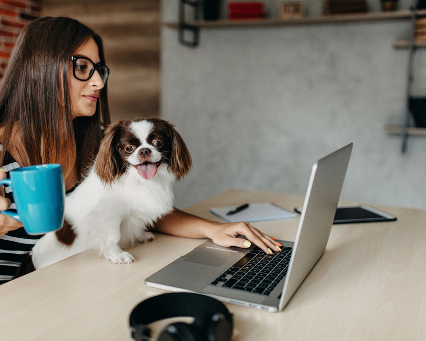 How To Work From Home With Your Dogs