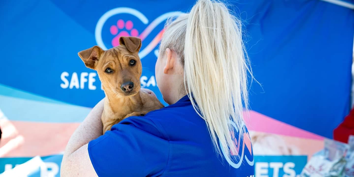 Our Buddy's Grant Award goes to Safe Pets Safe Families!