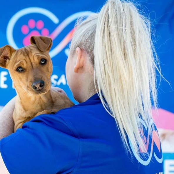 Our Buddy's Grant Award goes to Safe Pets Safe Families!