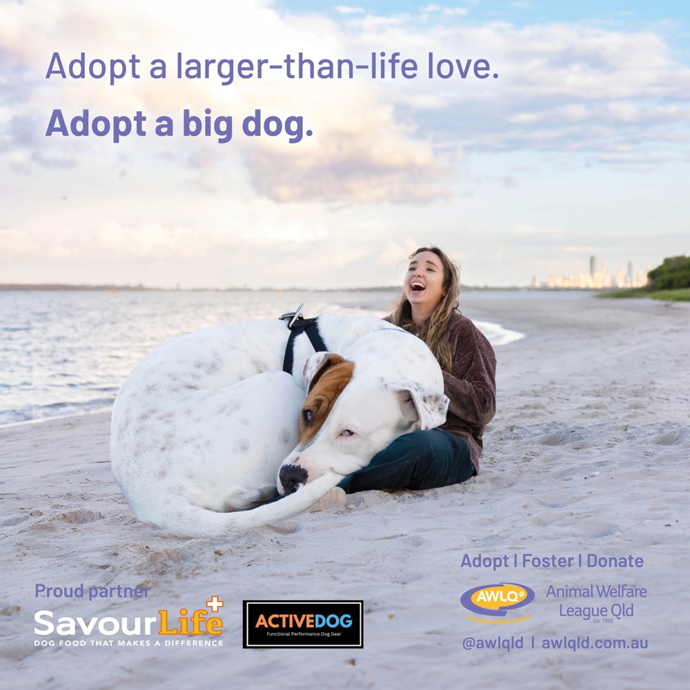 A larger than life campaign to find a place called home.
