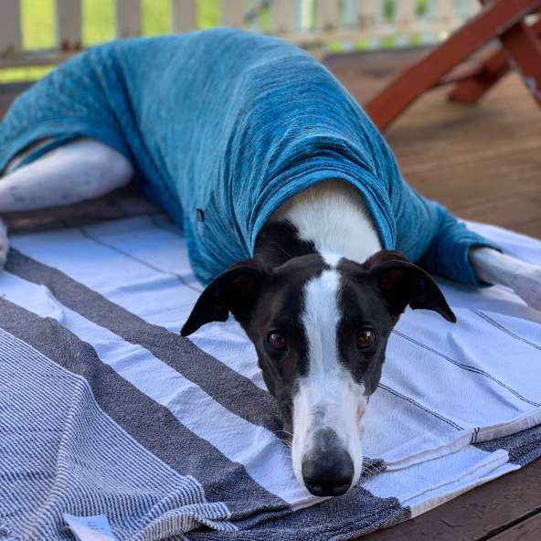 Caliban recovers from surgery and finds his people!