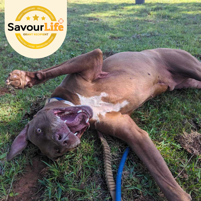 A rescue collaboration to save more lives!