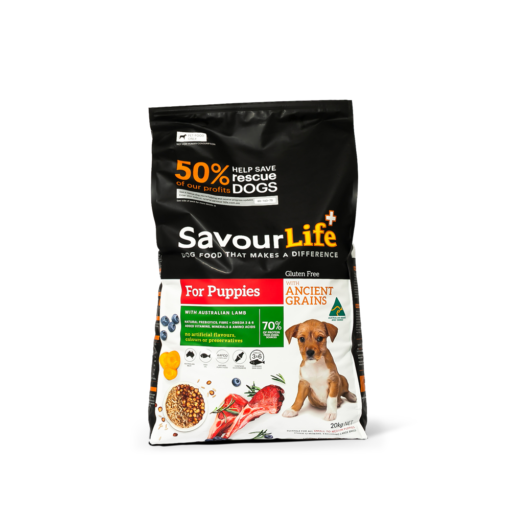 no grain puppy food