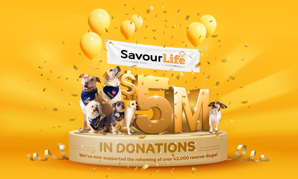 We've donated $5million to help save rescue dogs!