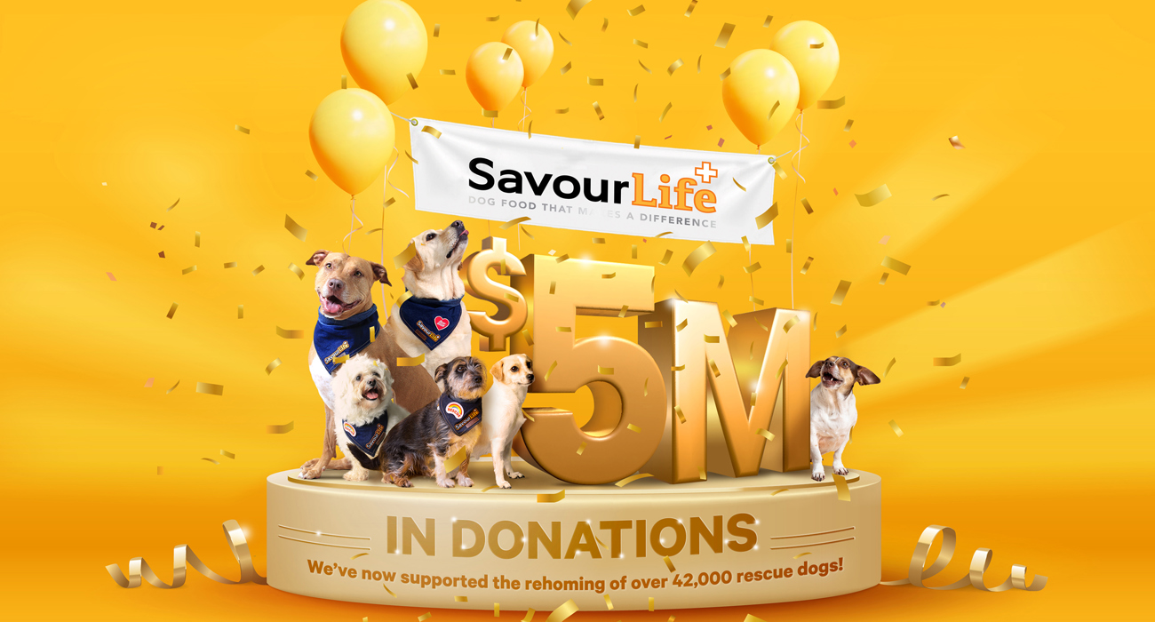 We've donated $5million to help save rescue dogs!