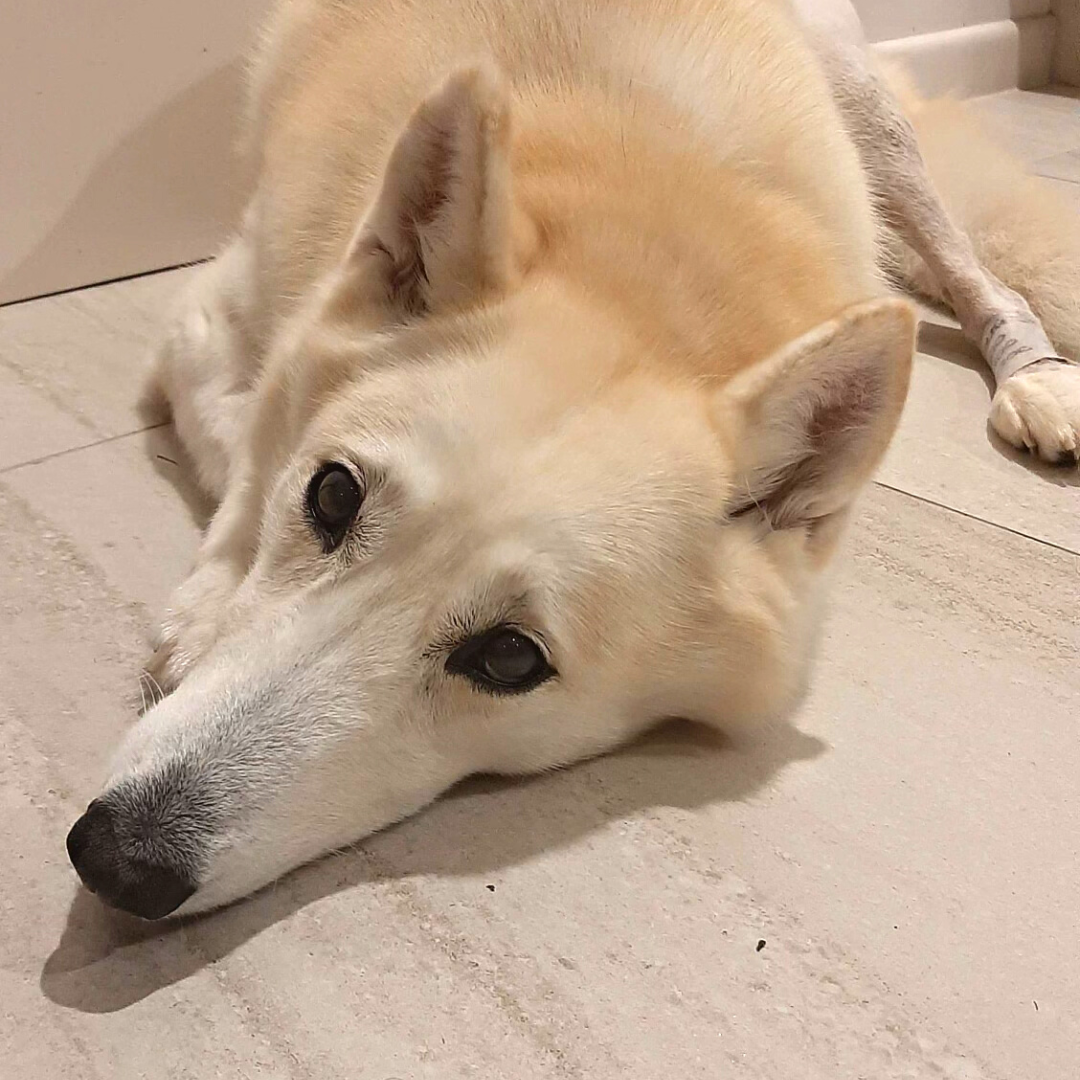 River needed specialist surgery before she could start to prepare for her brighter future!