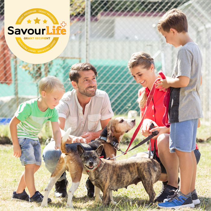 Setting up adopted dogs and their new families for success!