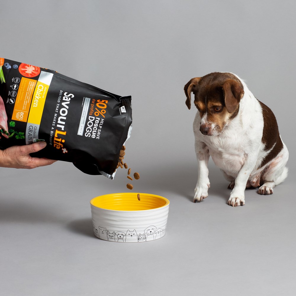 Savour life dry dog food reviews new arrivals