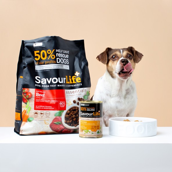 The benefits of Mixed Feeding for your best friend