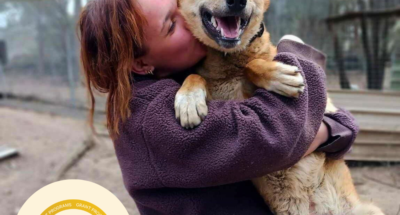 Sydney Dingo Rescue awarded grant to get them back on the road!