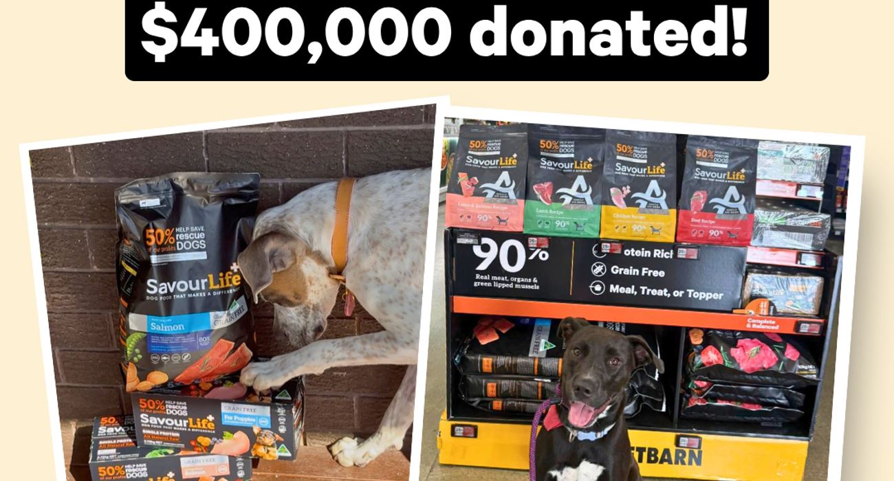 Rescue Month may be over, but the impact is just beginning.