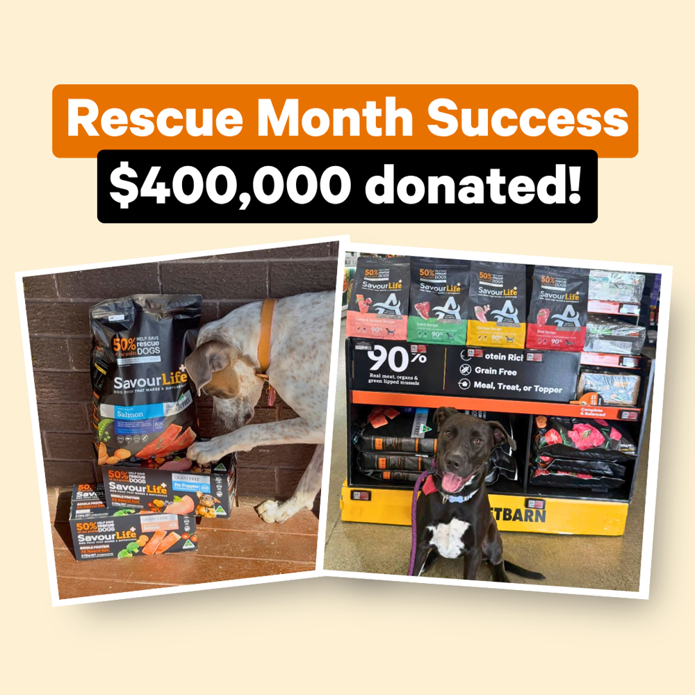 Rescue Month may be over, but the impact is just beginning.