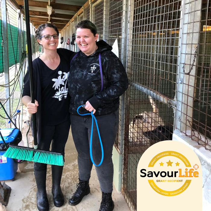 Maryborough Animal Refuge awarded grant to renovate and improve their kennels.