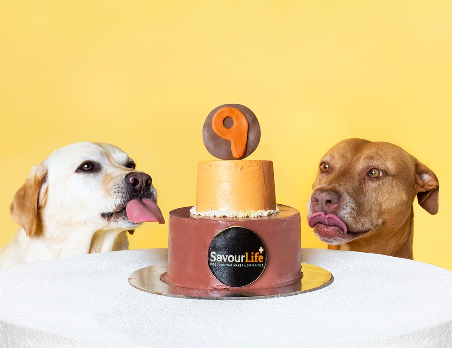It's our Birthday!