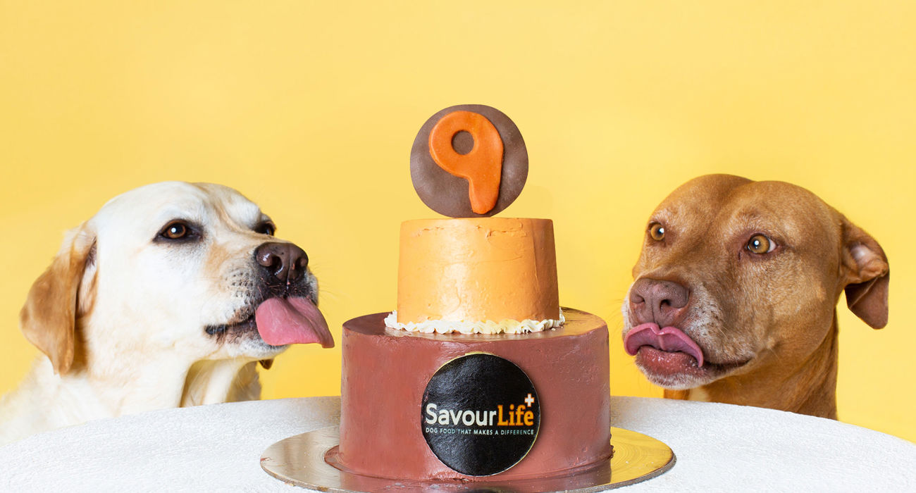 It's our Birthday!