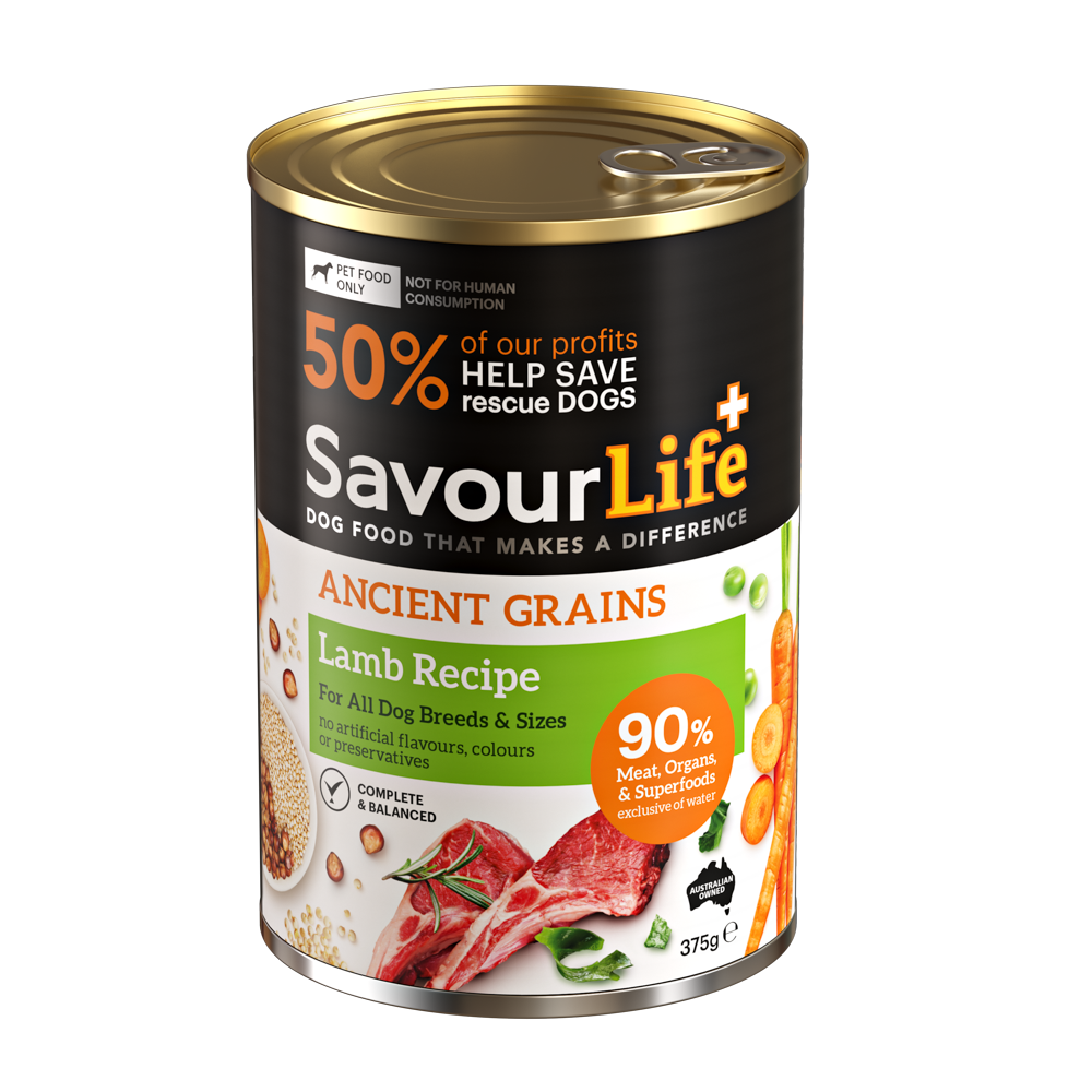 product image of Ancient Grains Adult Lamb Recipe