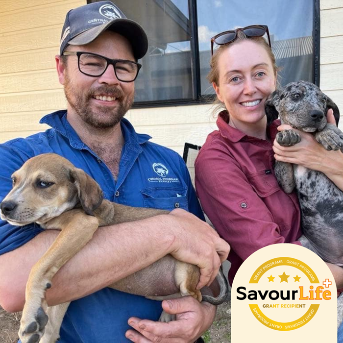 Helping community dogs in far North Queensland