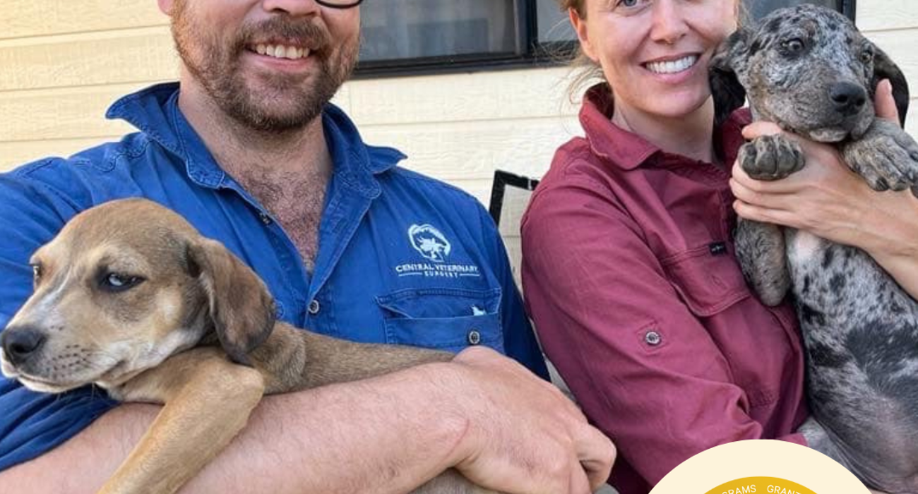 Helping community dogs in far North Queensland