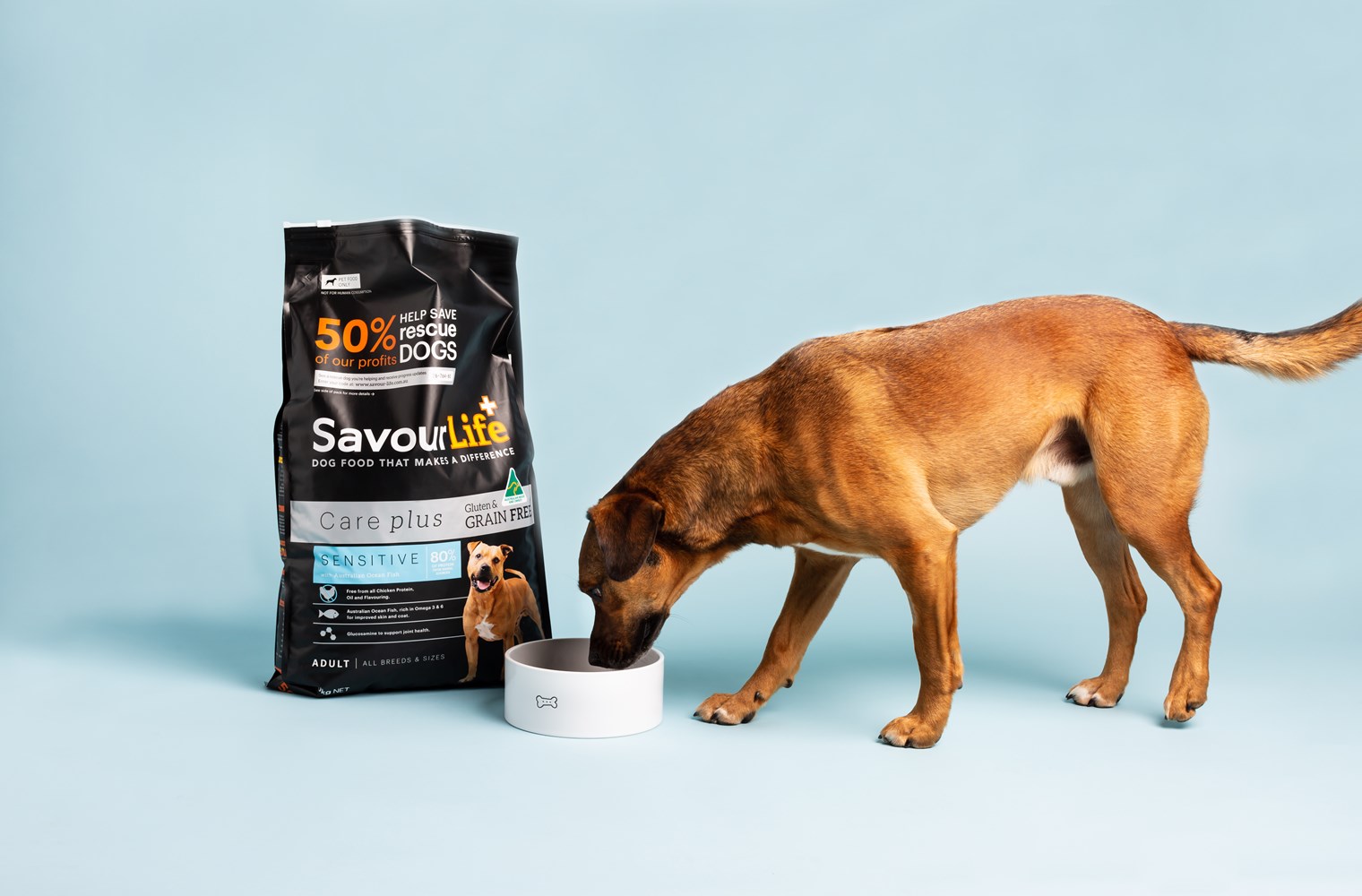 Savourlife deals puppy 10kg