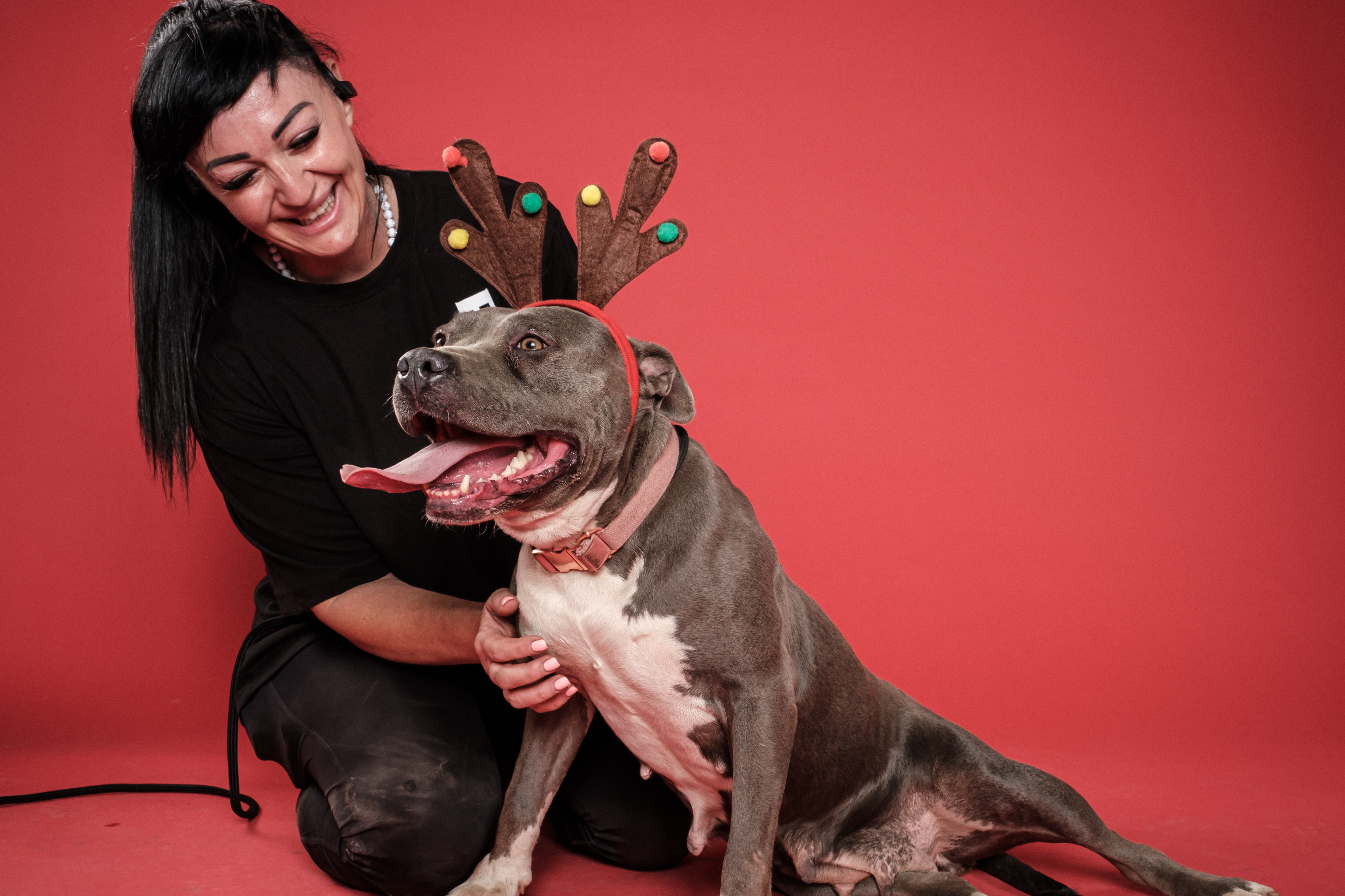 Shelter dogs at Pound Patrol get transformational photoshoot!