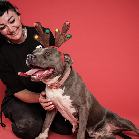 Shelter dogs at Pound Patrol get transformational photoshoot!