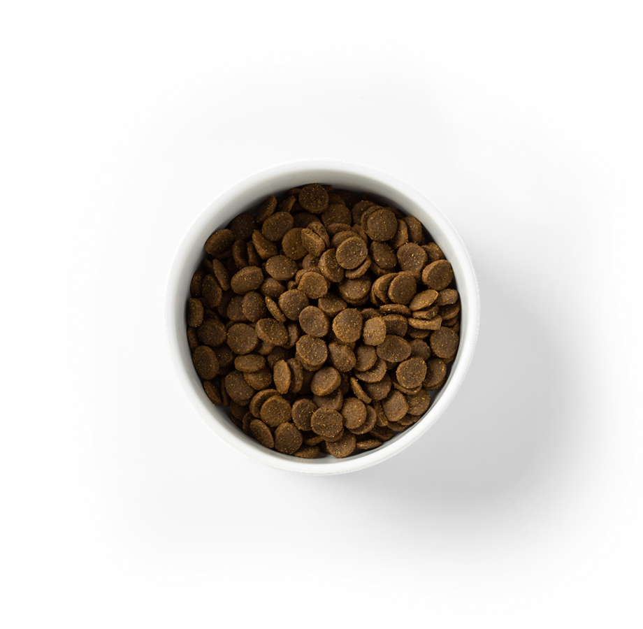 Stunning Puppy Food Grain Free Sugar Content image