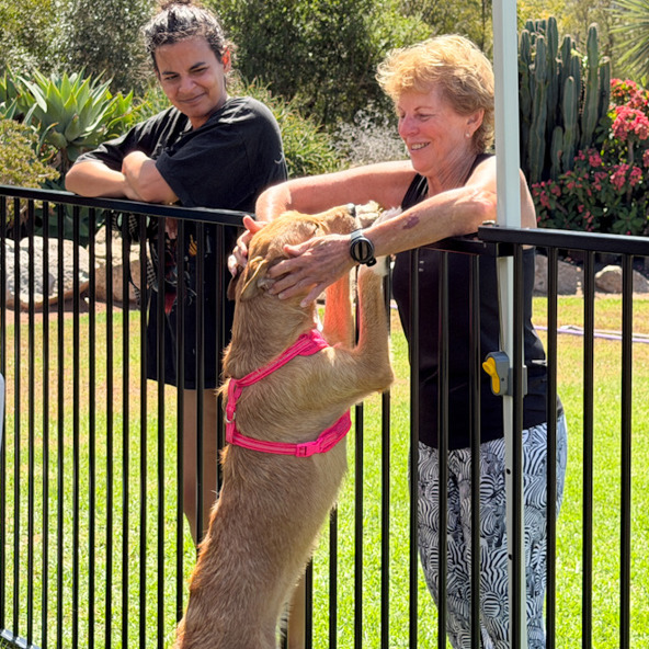 A new mobile adoption centre is ready to roll and find more loving homes!